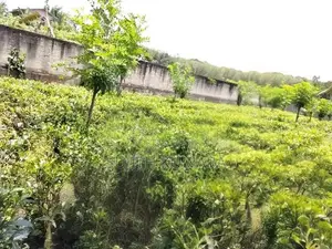 Land for Sale Mawanalla