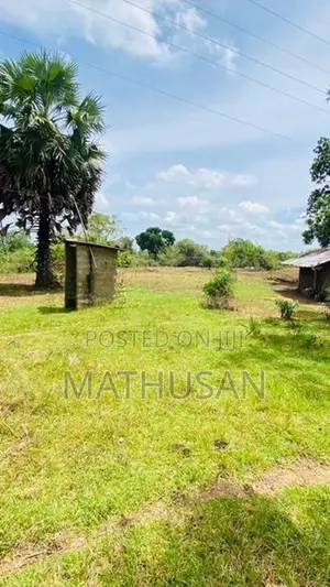 Land For Sale Vavuniya - காணி விற்பனைக்கு