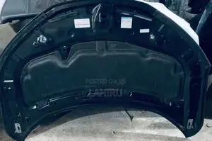 Honda Grace Bonnet