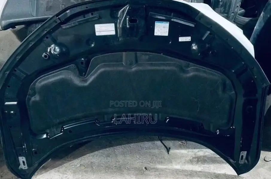 Honda Grace Bonnet