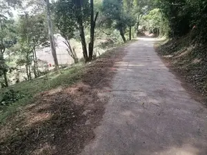Land For Sale In Kandy