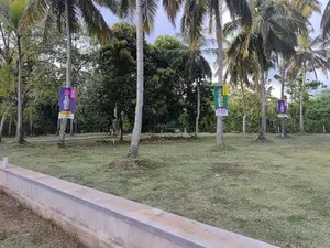 අනුරාධපුර සාලියමාවතෙන් සින්නක්කර බිම්කොටස් විකිණීමට