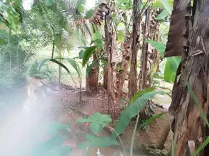 Land for Sale in Aluthgama