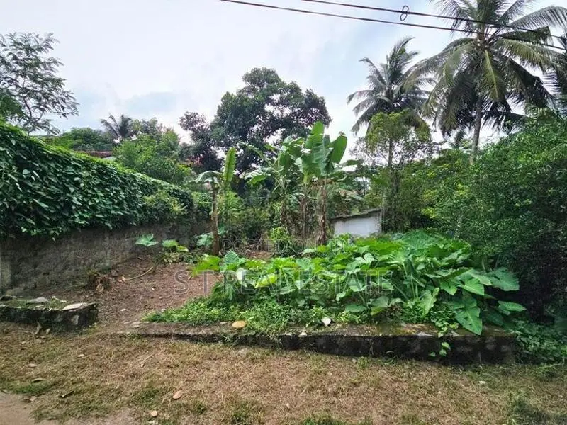 10P High Residential Bare Land For Sale In Thalawathugoda