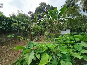 10P High Residential Bare Land For Sale In Thalawathugoda