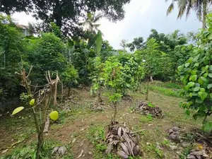 10P High Residential Bare Land For Sale In Thalawathugoda