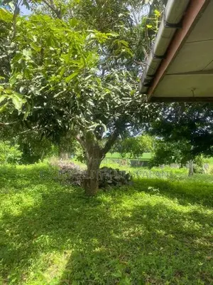 Land For Sale Mountlavinia