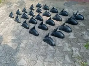 Suzuki Alto side mirrors