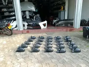 Suzuki Alto side mirrors