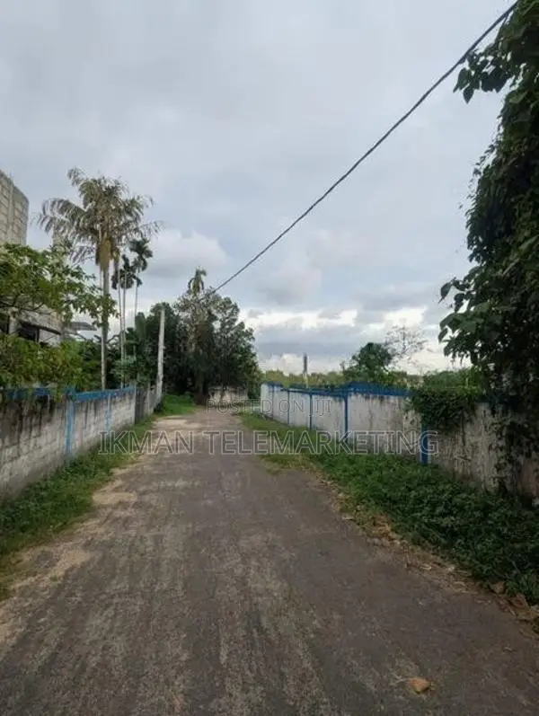 Land for Sale – Jamburaliya, Madapatha