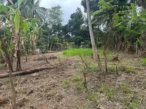 20.3 Perch Residential Land for Sale in Hasthipura, Rambukkana