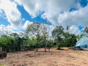 Talalla , Dickwella Beach Side Land Sale