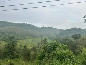 නිට්ටඹුව රුවන්වැල්ල පාරට සෘජුවම මායිම් වූ පර්චස් 409 ක වටිනා ඉඩමක්
