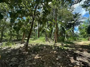 70 Perch Land for Sale Near Govijana Sewa Center - Embilipitiya