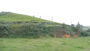 Land for sale Nuwara Eliya 7 km