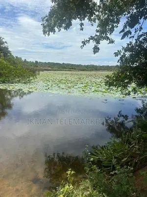 Land for Sale in Kahandamodara, Ranna