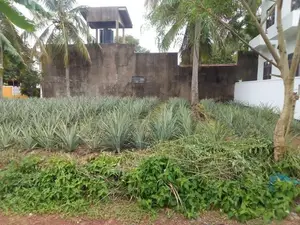 Land for Sale Kandana