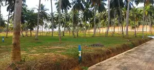නාරම්මල නගරයට නුදුරින් ඉඩමක්
