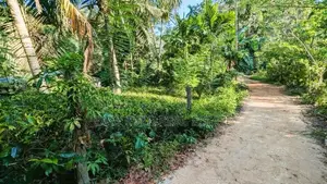 අත්තනගලු ඔයට මායිම්ව පර්චස් 53ක්
