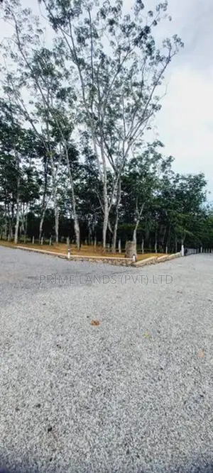 Near to Horana Kalutara Road