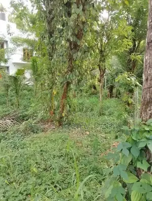 Land for Sale in Matale