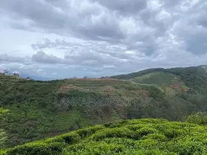 Commercial Land for Sale at Kandapola, Nuwara Eliya.
