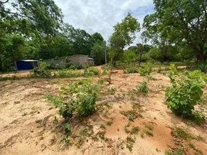 කතරගමින් සින්නක්කර ඉඩමක් Land for Sale Kataragama