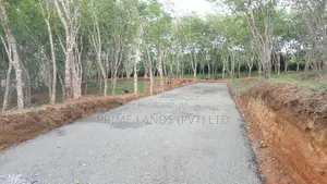 Land for Sale Ahangama