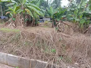 Land for Sale – Dadigamuwa