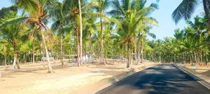 Land In Weboda
