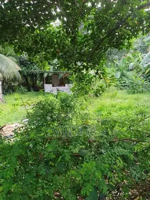 Land for rent
