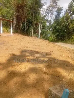 Beautiful Land Sale in Nelumdeniya