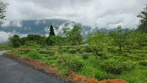 Land for Sale in Pudaluoya