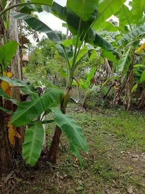 Prime 10 Perch Bare Land for Sale – Kottawa