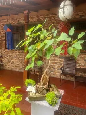 Elegant 2-Storey House for Sale in Thalawathugoda