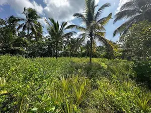 ගම්පහ – හේනේගම (ගඩුමන) වටිනා ඉඩමක් විකිණීමට / UP 13710