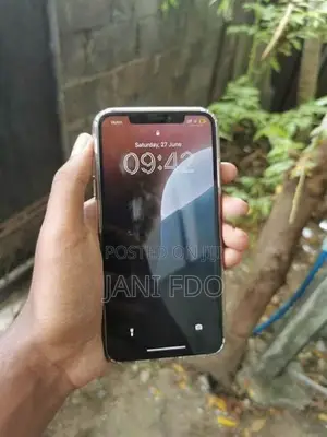 Apple iPhone XS Max 256GB (Used)