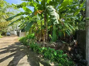 6P Commercial Bare Land For Sale In Thalawathugoda