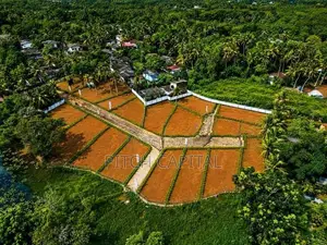 උයන්වත්ත වැවට මුහුණලා බණ්ඩාරගම පුරවරයන් විකිණීමට බිම් කොටස්