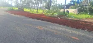 නේවාසික බිම් කොටස් පැල්ලන්දේනියෙන්