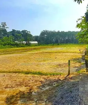Prestigious Land Plots for Sale in Nawagamuwa