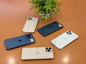 Apple iPhone 12 Pro 256GB (Used)
