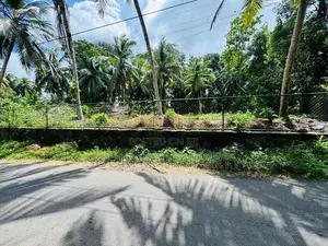 Valuable Land for Sale in Bandaragama