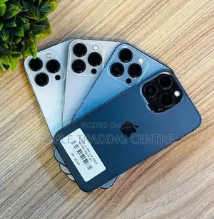 Apple iPhone 13 Pro (256GB) (Used)