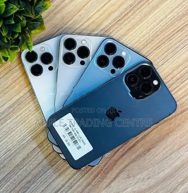 Apple iPhone 13 Pro (256GB) (Used)