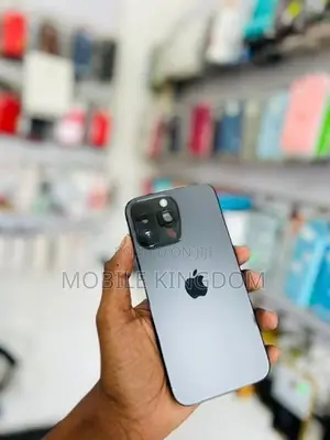 Apple iPhone 13 Pro 256GB Black Fullset (Used)
