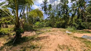 යක්කල නෙල්ලිගහමුලින් වටිනා ඉඩමක් / UP 12441
