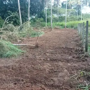 Pothuhera 15 P Land for Sale