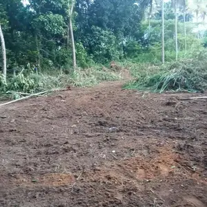 Pothuhera 17.4 P Land for Sale