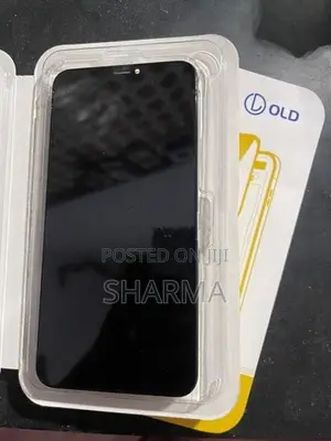 Apple iPhone XS Max Display